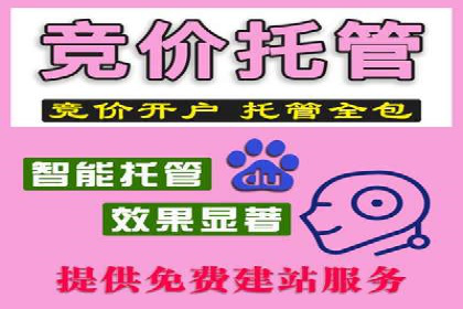 SEM代运营推广公司成功案例，助力企业实现多元化发展
